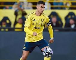 《大谷翔平的“Decoy”：一只萌宠如何引爆了棒球周边的千万市场？》